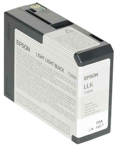 Epson Cartridge T5809 Light Light Black