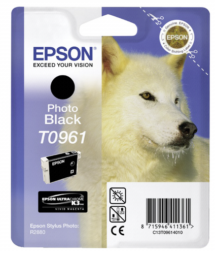 Epson ink cartridge T0961 photo black