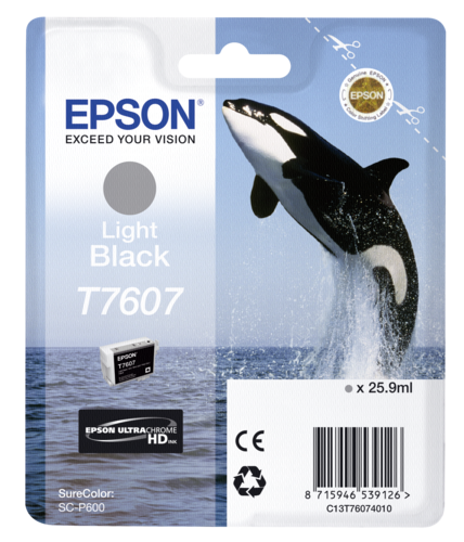 Epson Cartridge T7607 Light Black